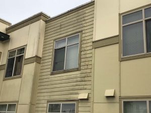 Before Pressure Washing Siding