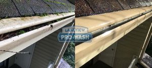 gutter cleaning on white home
