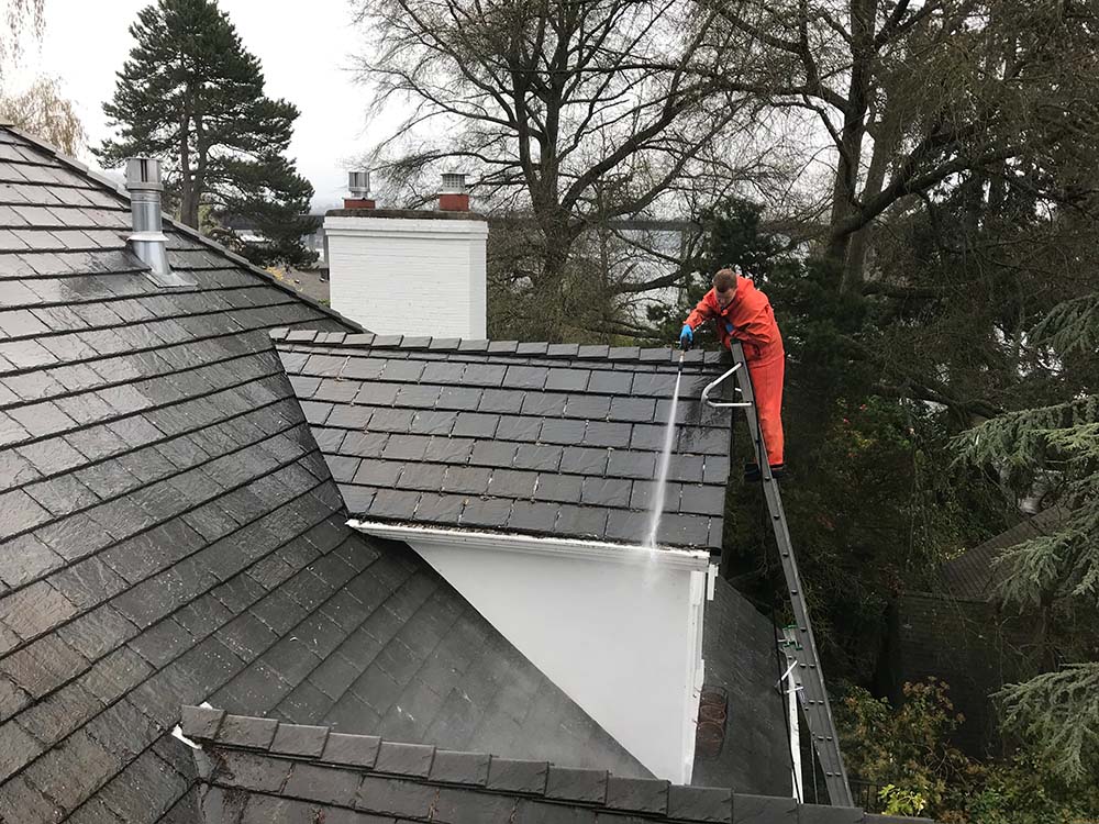 Roof Washing Professional Spraying Roof and Gutter on Home