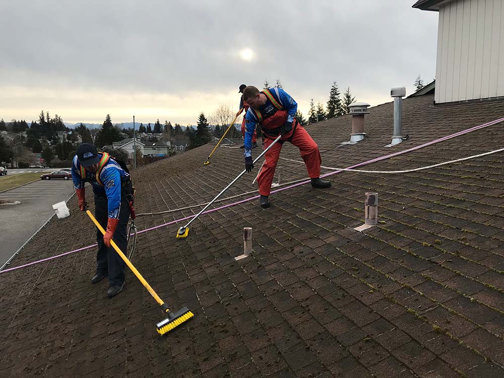 Professional Roof Cleaning 