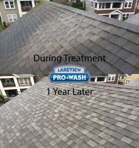 Soft Wash Roof Cleaning